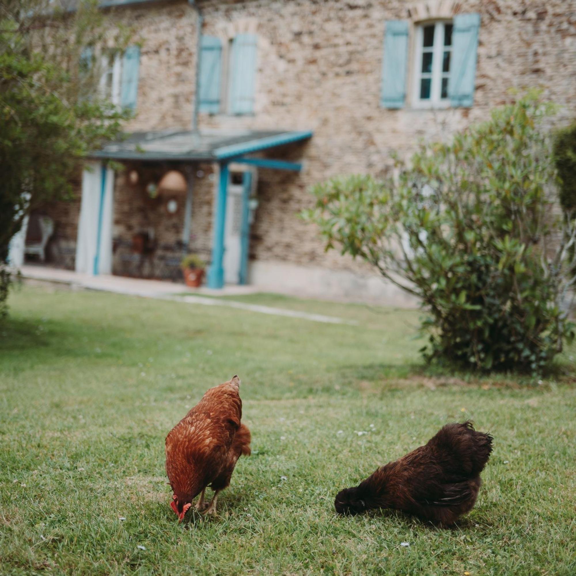 Domaine De La Fauvriere Hotel Sainte-Honorine-de-Ducy Екстериор снимка