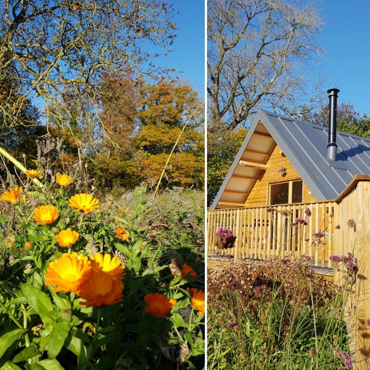 Domaine De La Fauvriere Hotel Sainte-Honorine-de-Ducy Екстериор снимка